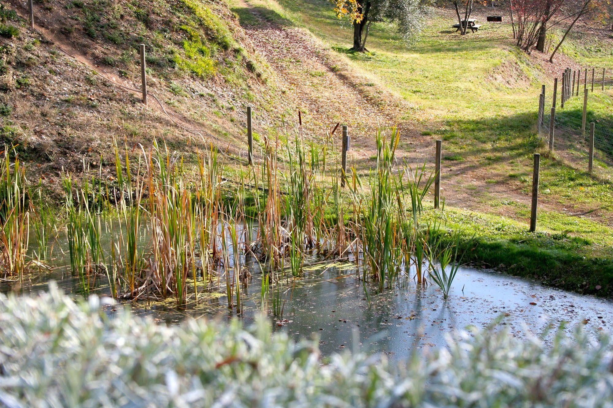 Premignaga Natural Home Gardone Riviera Extérieur photo